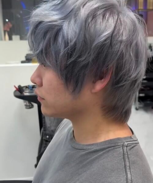 Ash Silver Grey Hair - Hair Salon in Houston Texas
