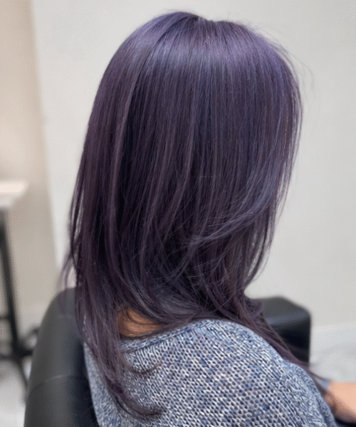 Best Hair Salon in Katy Texas - Purple color hair